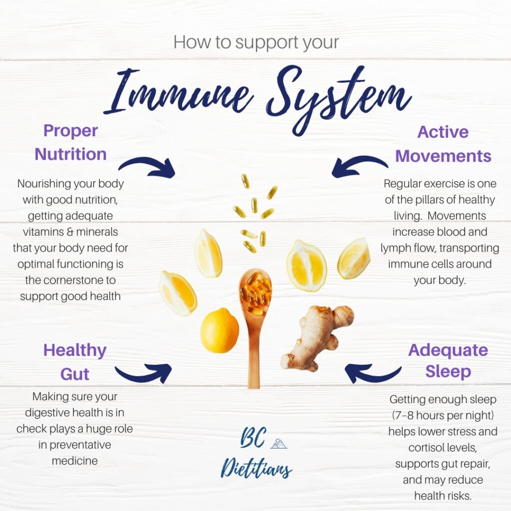 infographic on how to support your immune system through proper nutrition, healthy gut, active movements and adequate sleep