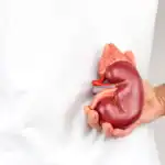 Kidney Function