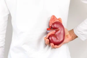 Kidney Function