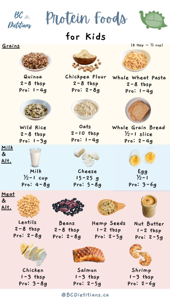 list of high protein foods for kids from grain products, milk & alternatives, and meats & alternatives,. With portion sizes and protein amounts listed.