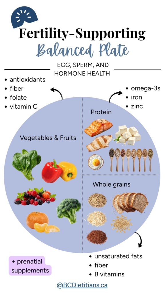 a fertility supporting plate showing the different food groups and nutrients supporting fertility.